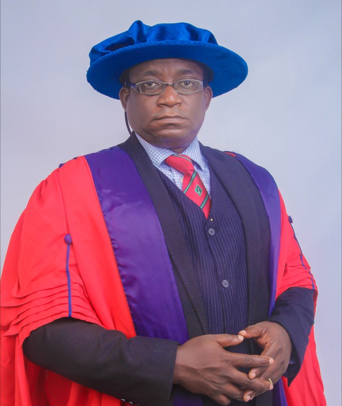 Dr. Nnaemeka Umedum